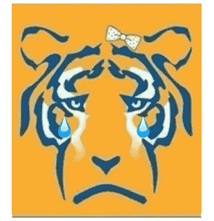 Tigres Libres Y Lokos GIF by BARSUK