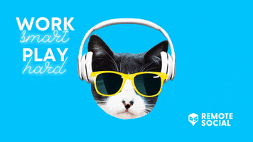RemoteSocial cool work play funny cat GIF
