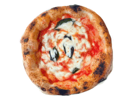 Pizza Secret NY Sticker