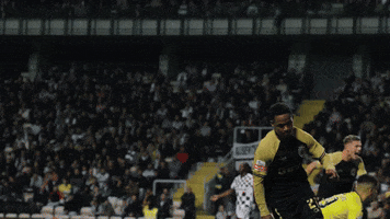 Celebration Goal GIF by Sporting CP