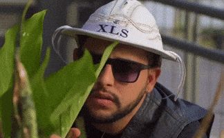 Forro Aracaju GIF by foliaentretenimento