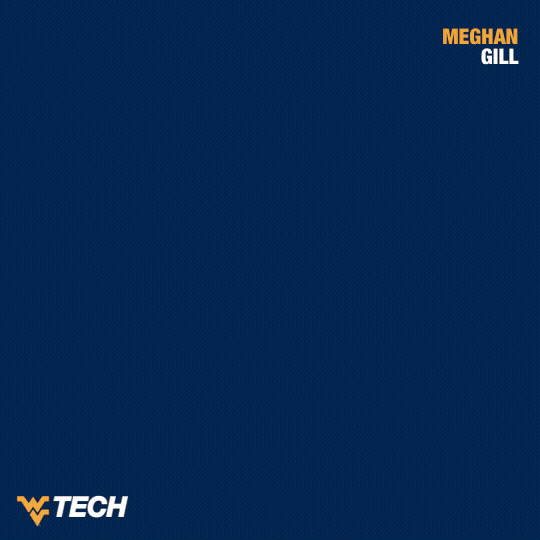 Softball GIF by WVU Tech Golden Bears