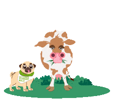 Mittlerer Schwarzwald Sticker