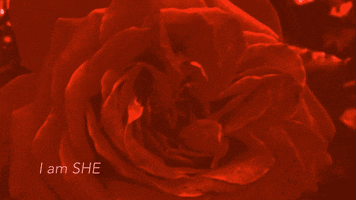 Beauty GIF