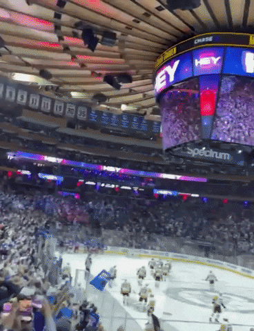 New York Rangers Hockey GIF by Storyful