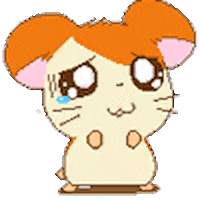 Animated Sticker