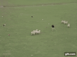 Farming GIF