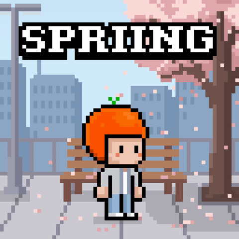 Cherry Blossom Spring GIF by CoinEasy