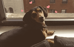 200.gif?cid=f0bdee70k16une2sxgt5b8f3xjecbfn6s3k2txozxxxdo633&rid=200.gif&ct=g