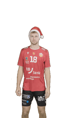 Deutschland Sticker by Volleyball Bundesliga