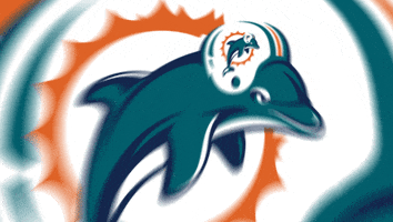 miami dolphins football GIF