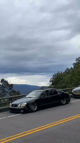 outofluck_club GIF