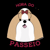 Dog Passeio GIF by Compão