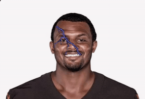 Pittsburgh Steelers Nfl GIF