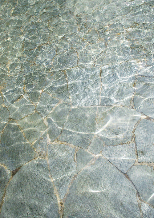 Camouflage GIF Find & Share on GIPHY