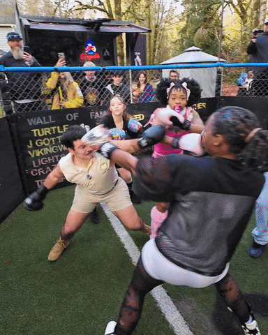 Fight Mma GIF