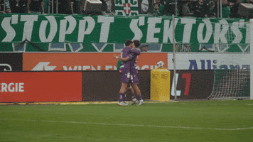 Rapid Wien Austria GIF