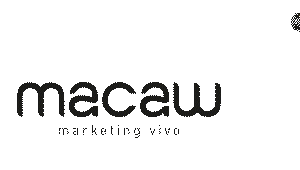 Macaw Brasil Sticker