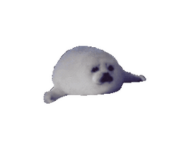 Harp Seal Baby Sticker
