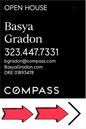 Basya Gradon GIF