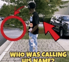 Who Is This Attention Seeker GIF