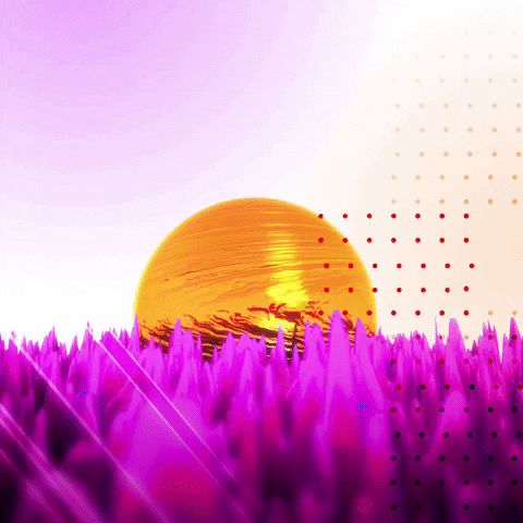 gif-19
