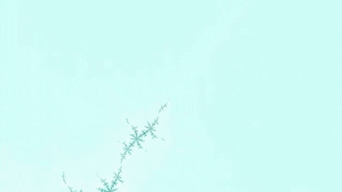 gif-featured-12