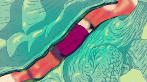 gif-50