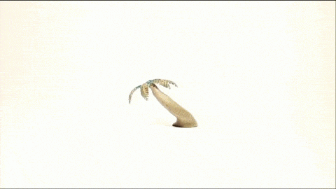 gif-featured-16