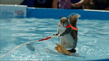 Espn Party GIF by X Games