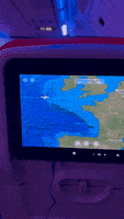 Travel Flying GIF