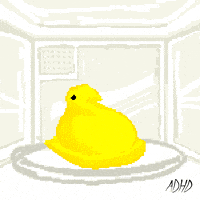 Fun Lol GIF by Animation Domination High-Def