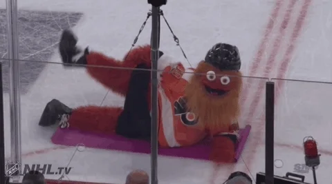 Ice Hockey Sport GIF