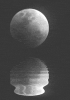 black and white water GIF