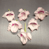 stop motion flowers GIF by hazelst