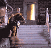 stop motion puppet GIF