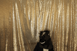 wedding photobooth GIF by Tom Foolery Photo Booth
