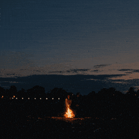 netflix teotfw GIF by The End Of The F***ing World