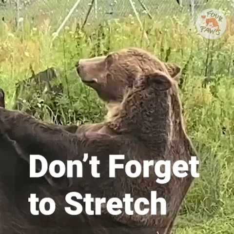 Reach For The Sky Morning GIF