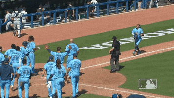 Happy Blue Jays GIF by MLB