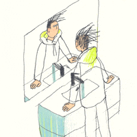 Loop Mirror GIF by notofagus