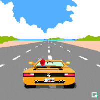 Florida GIF by gifnews