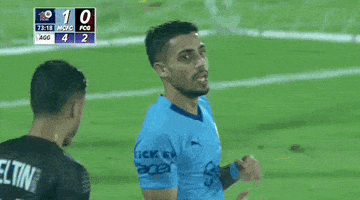 Fc Goa Thumbs Up GIF by Indian Super League