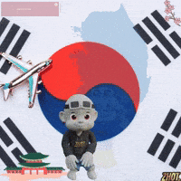 South Korea GIF by Zhot