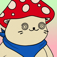 Happy Fun GIF by Sappy Seals Community