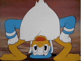 Donald Duck Disney GIF