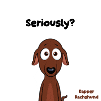 What The Hell Wtf GIF by VeeFriends