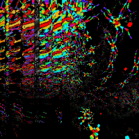 art loop GIF by xodnnhm