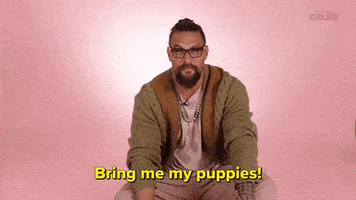 Jason Momoa Puppies GIF by BuzzFeed