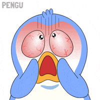 No Way Omg GIF by Pudgy Penguins